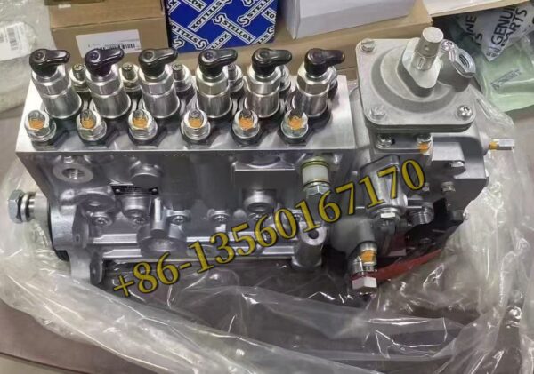 3938372 For Cummins 6D114 6CT8.3 Engine Fuel Injection Pump