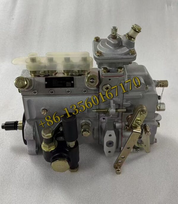 BYAS0-1111100A-493  4936C900934 Fuel Injection Pump for YUCHAI engine