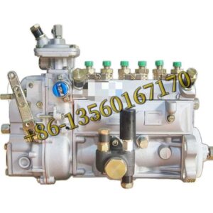 02233340 Fuel Injection Pump For DEUTZ