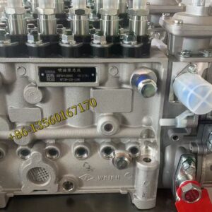 5266036 BHF6P120005 Fuel Injection Pump 6BT5.9-205 for Cummins Engine