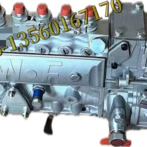 6A125A 00207180 Fuel Injection Pump 3976801 for Cummins Engine B5.9 Series