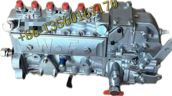 6A125A 00207180 Fuel Injection Pump 3976801 for Cummins Engine B5.9 Series